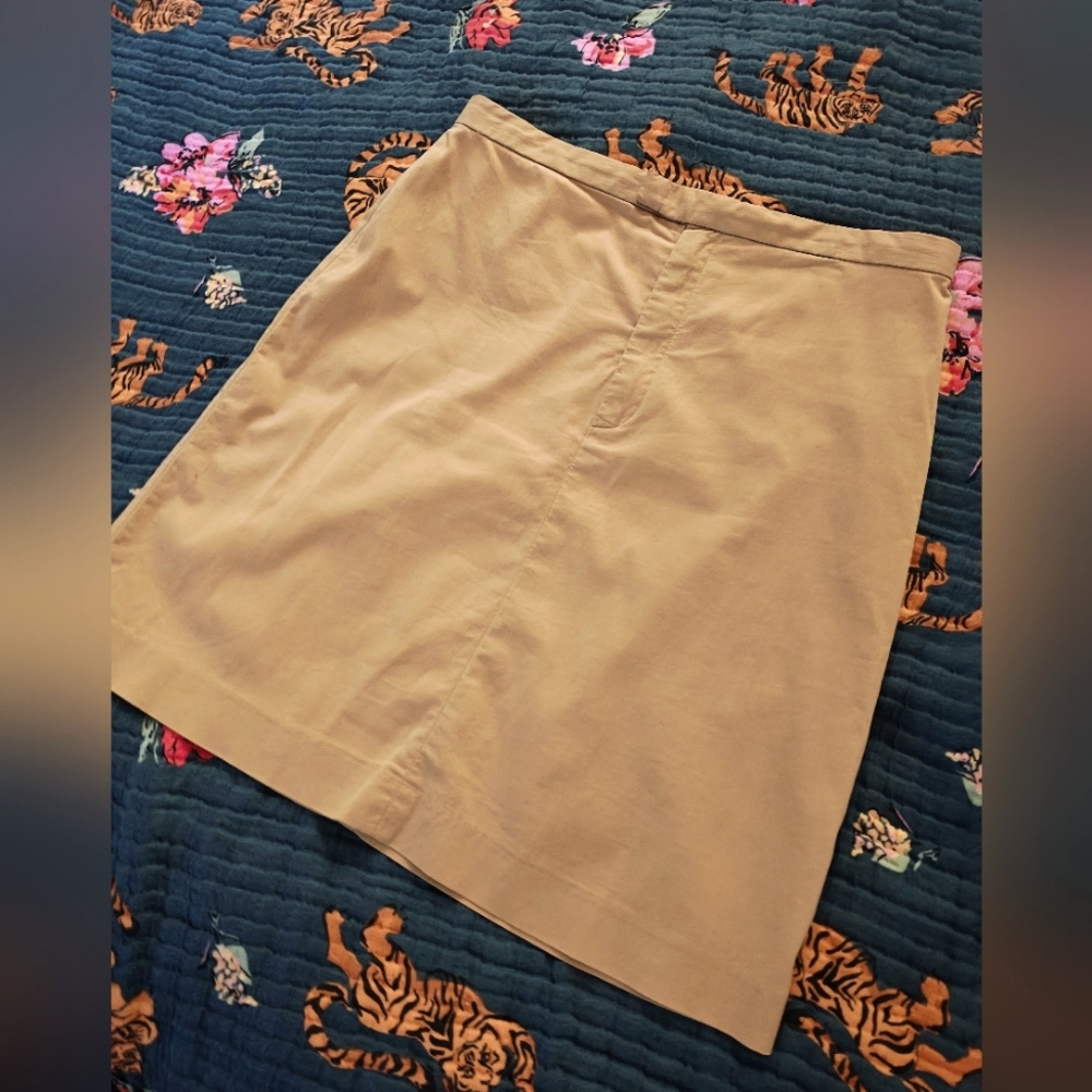 Banana Republic Khaki Skirt